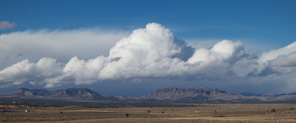 On the Road to Zion NP