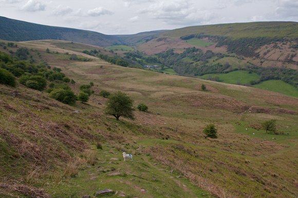 Wanderung Cambrian Way in Wales